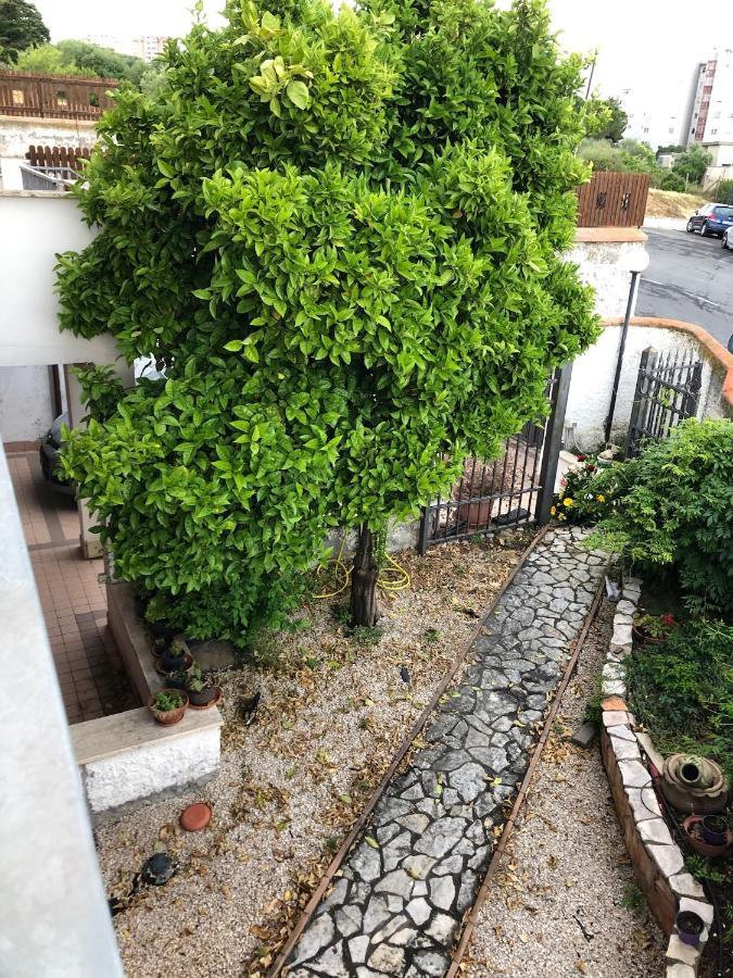 B&B San Liborio Civitavecchia Exterior photo